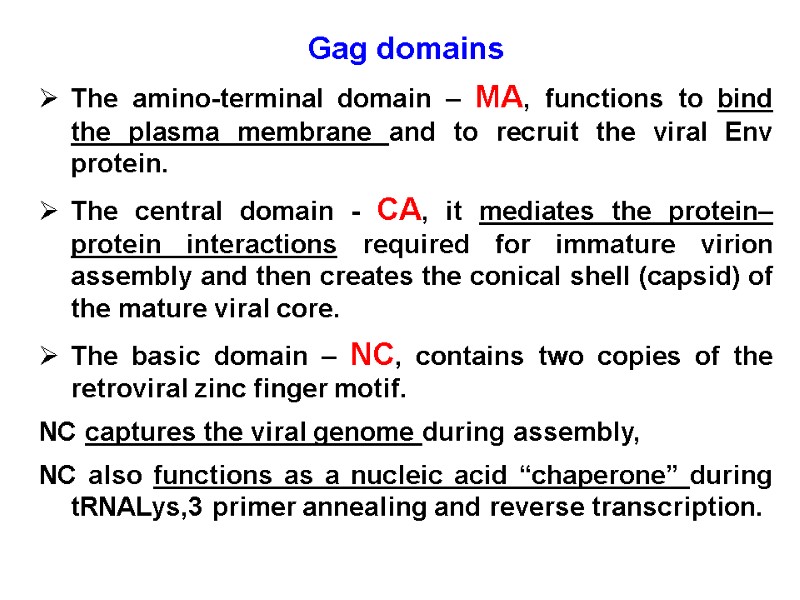 Gag domains The amino-terminal domain – MA, functions to bind the plasma membrane and